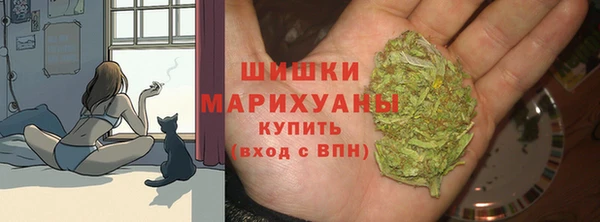прущие грибы Переславль-Залесский