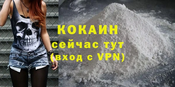 прущие грибы Переславль-Залесский