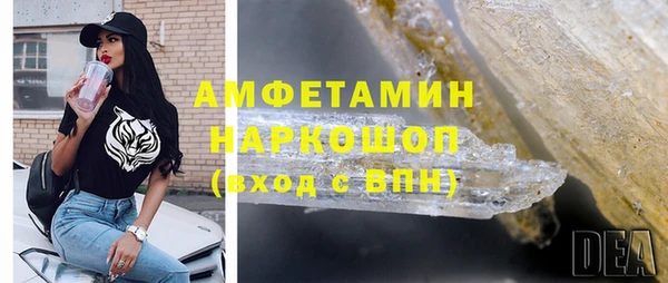 прущие грибы Переславль-Залесский