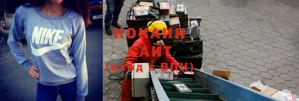 прущие грибы Переславль-Залесский
