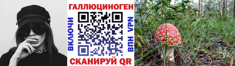как найти закладки  Асбест  hydra ссылки  Псилоцибиновые грибы ЛСД 