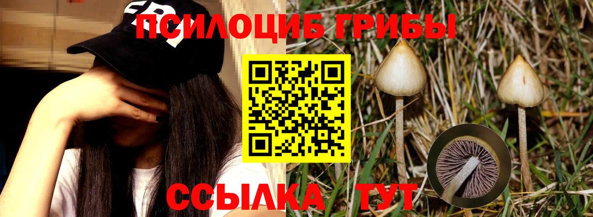 Псилоцибиновые грибы MAGIC MUSHROOMS Асбест